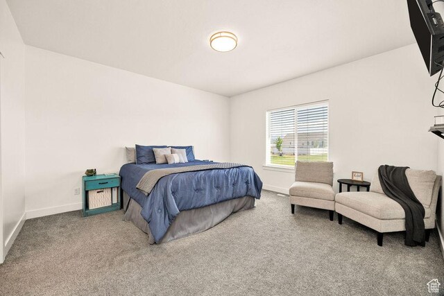 460 E 535 S, Hyrum, UT 84319 - carpeted bedroom with baseboards