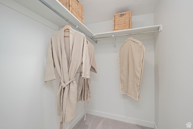 224 N Loring Ave Unit 112, Santaquin, UT 84655 - walk in closet featuring carpet
