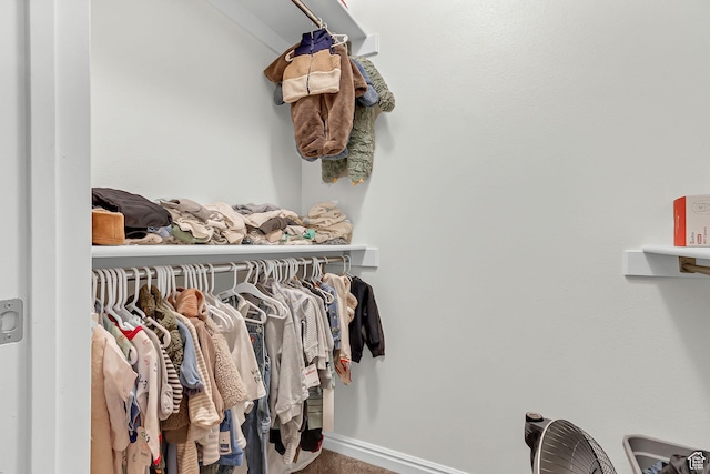 4910 N University Ave Unit 52, Provo, UT 84604 - view of closet