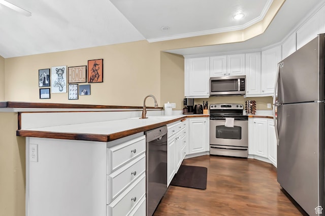 4910 N University Ave Unit 52, Provo, UT 84604 - kitchen with appliances with stainless steel finishes, a peninsula, a sink, white cabinets, and ornamental molding