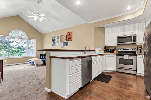 4910 N University Ave Unit 52, Provo, UT 84604 - kitchen featuring stainless steel appliances, a peninsula, ceiling fan, a sink, and white cabinets