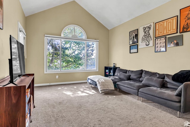 4910 N University Ave Unit 52, Provo, UT 84604 - living room with carpet flooring, high vaulted ceiling, and baseboards