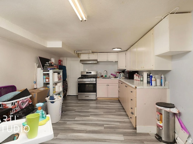 123 N 800 E, Payson, UT 84651 - kitchen with gas range, under cabinet range hood, light countertops, light wood-type flooring, and a textured ceiling