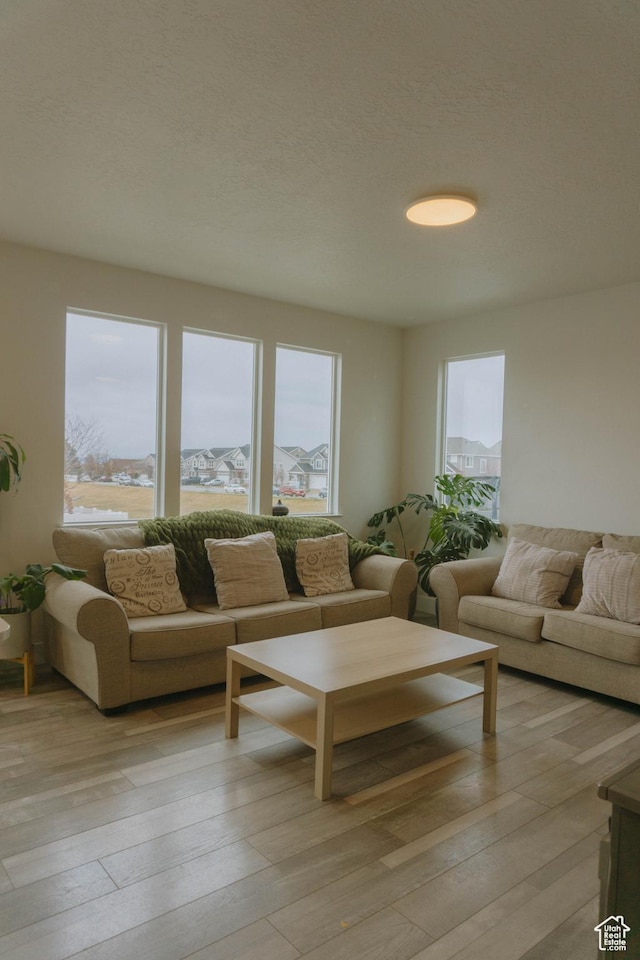 12959 S Penywain Ln W, Herriman, UT 84096 - living room with plenty of natural light and light wood-style flooring