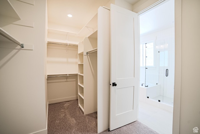 10926 S Little Sahara Dr Unit 1002, South Jordan, UT 84009 - walk in closet with carpet floors