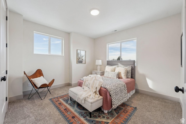 345 E 100 S, Santaquin, UT 84655 - bedroom with multiple windows, carpet floors, and baseboards