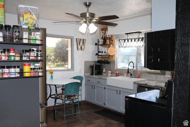 484 N Main St, Malad City, ID 83252 - kitchen featuring a sink and ceiling fan