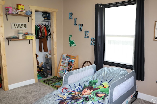 484 N Main St, Malad City, ID 83252 - bedroom featuring carpet and a closet