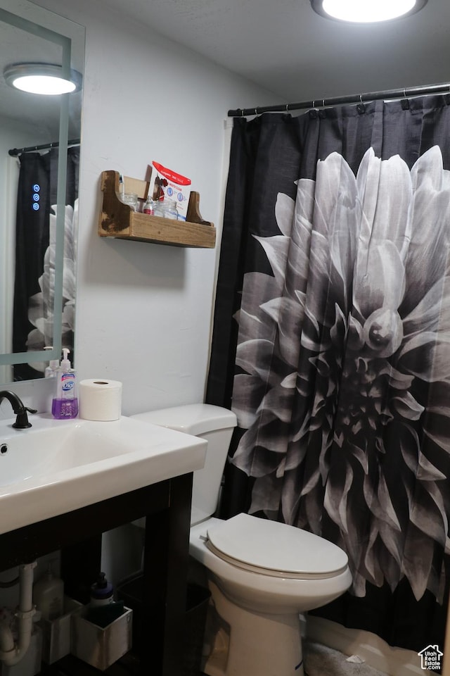484 N Main St, Malad City, ID 83252 - bathroom featuring vanity and a shower with curtain