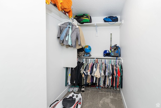5258 W 3750 S, Hooper, UT 84315 - spacious closet with carpet