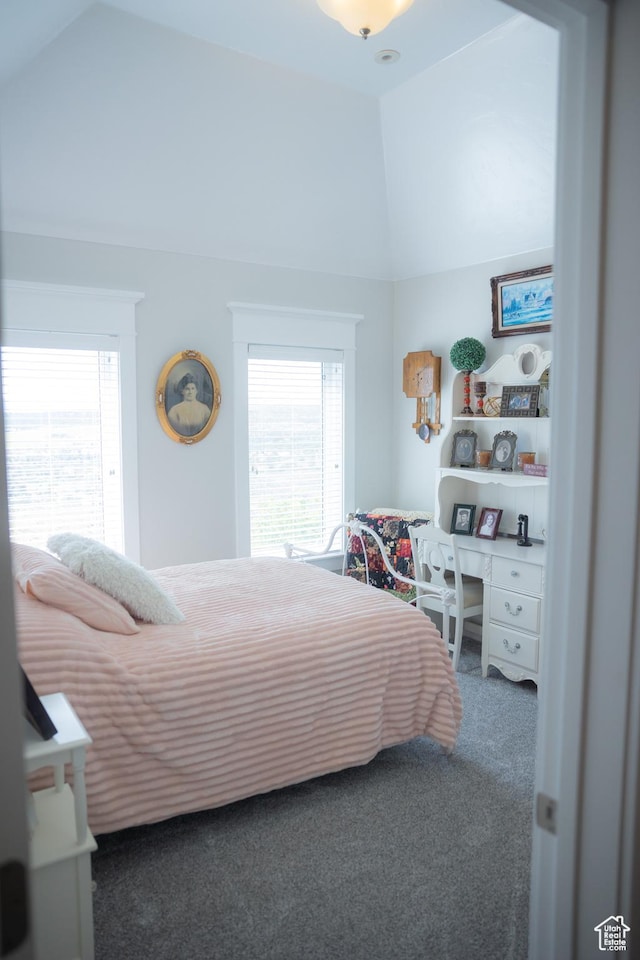 1380 N 300 W, Blanding, UT 84511 - carpeted bedroom with vaulted ceiling