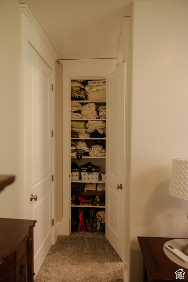 1380 N 300 W, Blanding, UT 84511 - hall with carpet