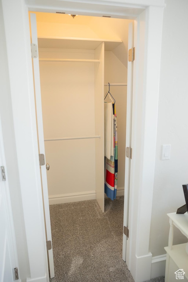 1380 N 300 W, Blanding, UT 84511 - spacious closet with carpet flooring