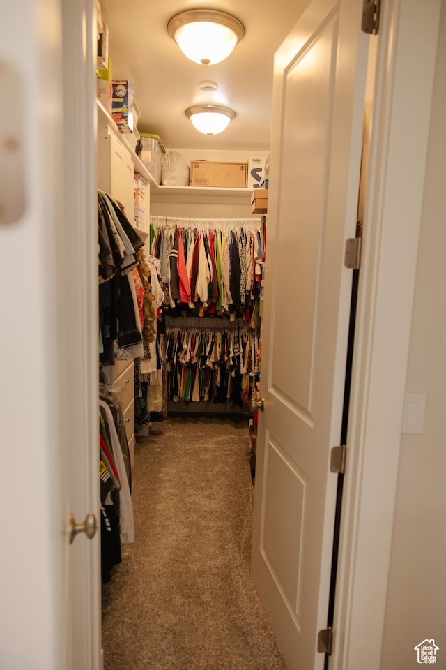 1380 N 300 W, Blanding, UT 84511 - spacious closet featuring dark colored carpet