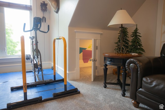 1380 N 300 W, Blanding, UT 84511 - workout room with carpet floors