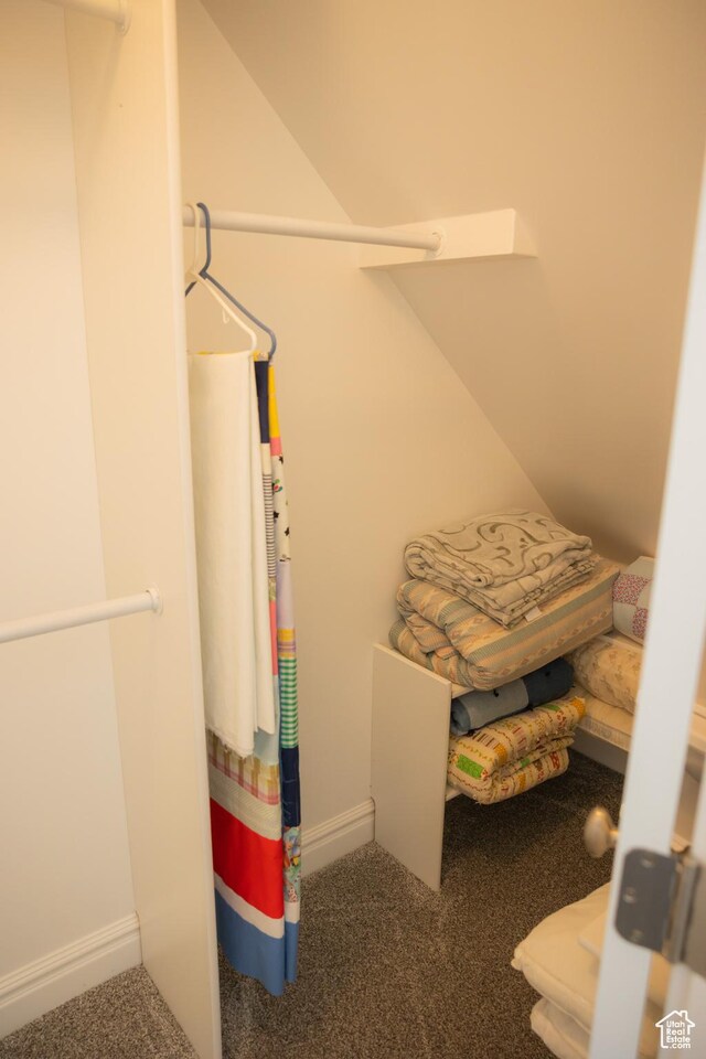 1380 N 300 W, Blanding, UT 84511 - spacious closet with carpet flooring