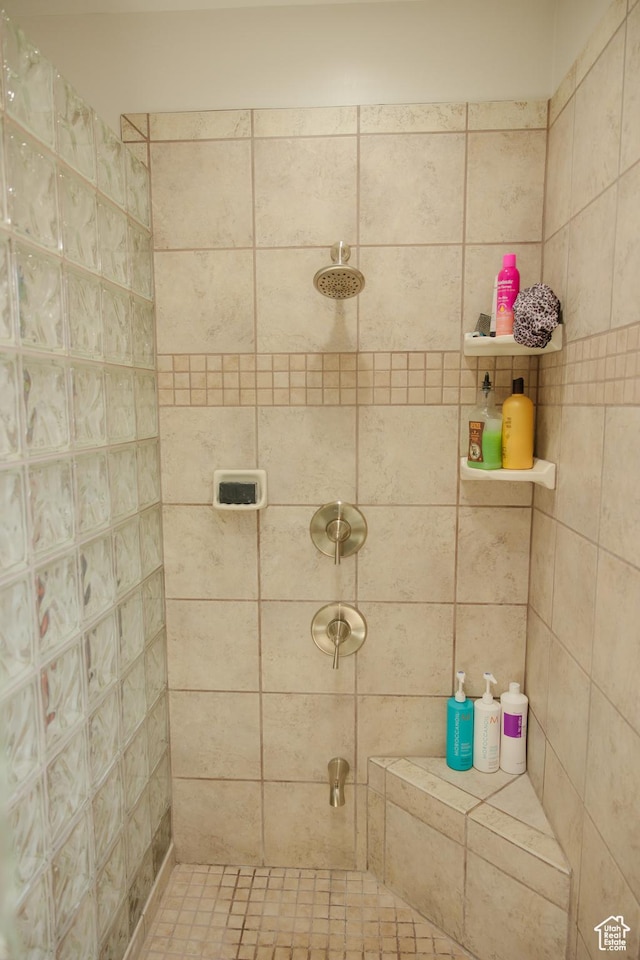 1380 N 300 W, Blanding, UT 84511 - bathroom featuring tiled shower