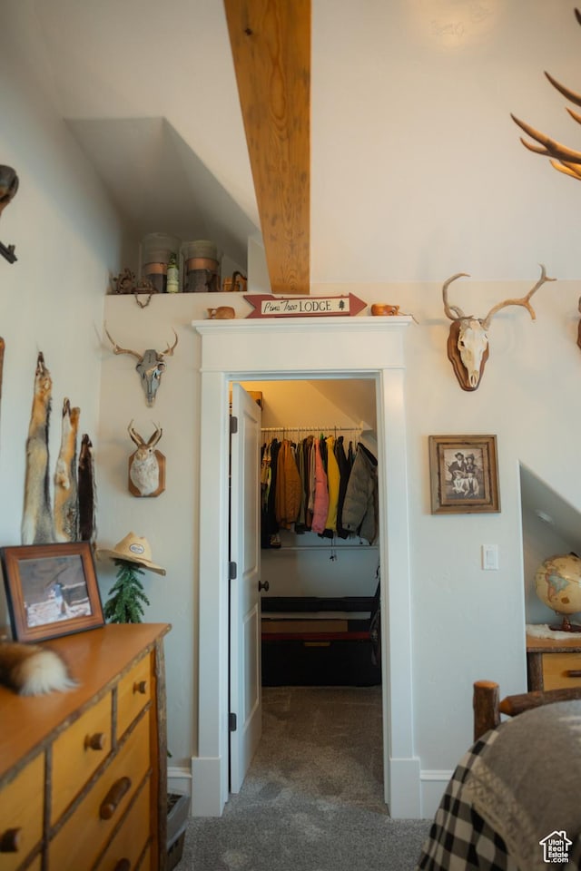 1380 N 300 W, Blanding, UT 84511 - bedroom featuring a walk in closet, dark colored carpet, and a closet