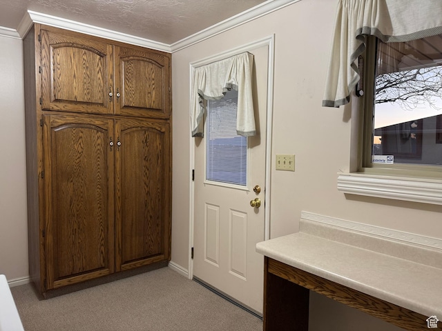 2650 S 2000 W, Syracuse, UT 84075 - doorway featuring light colored carpet, crown molding, and baseboards
