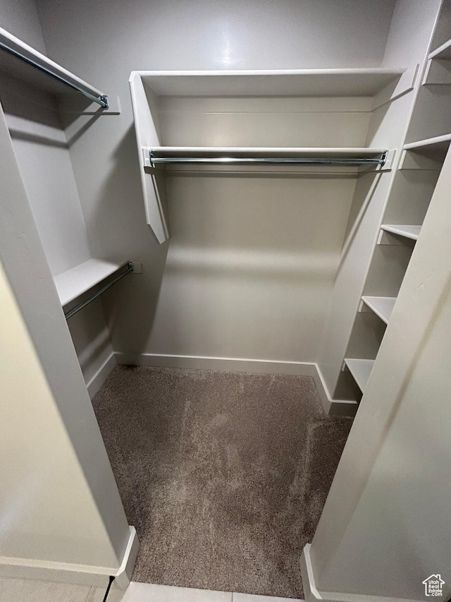 570 N 600 W, Smithfield, UT 84335 - walk in closet with carpet flooring
