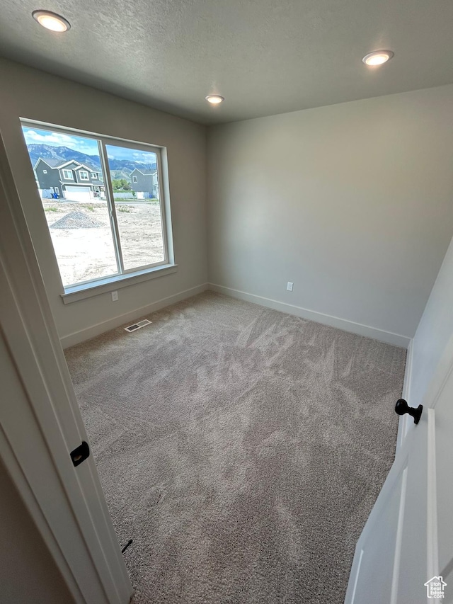570 N 600 W, Smithfield, UT 84335 - carpeted spare room with baseboards, recessed lighting, and a textured ceiling