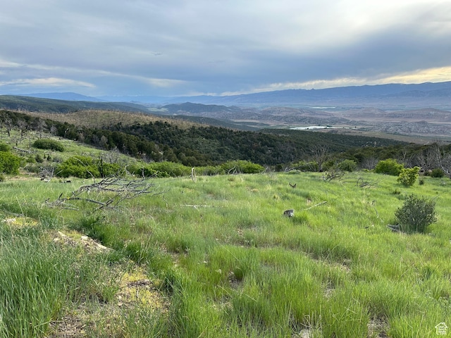 Salina, UT 84654
