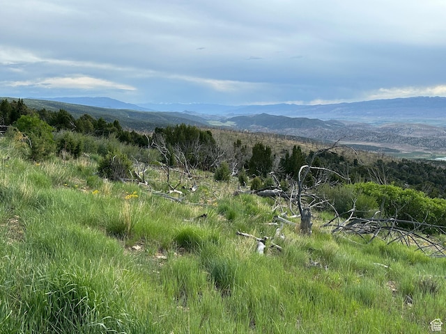 Salina, UT 84654