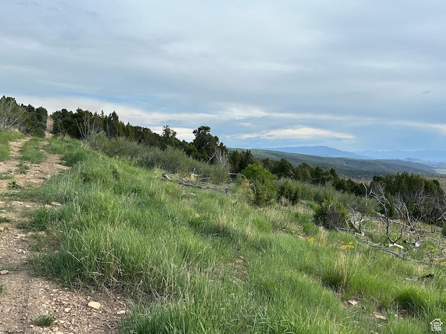 Salina, UT 84654