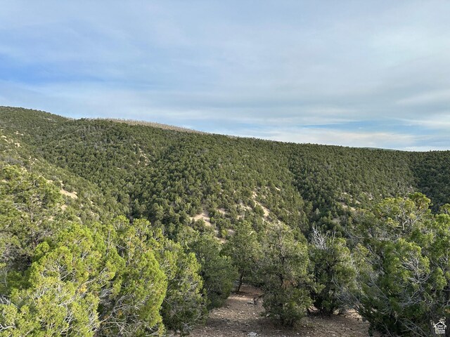 Salina, UT 84654