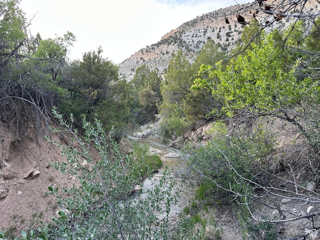 Salina, UT 84654