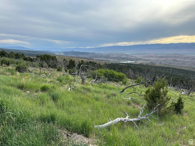Salina, UT 84654