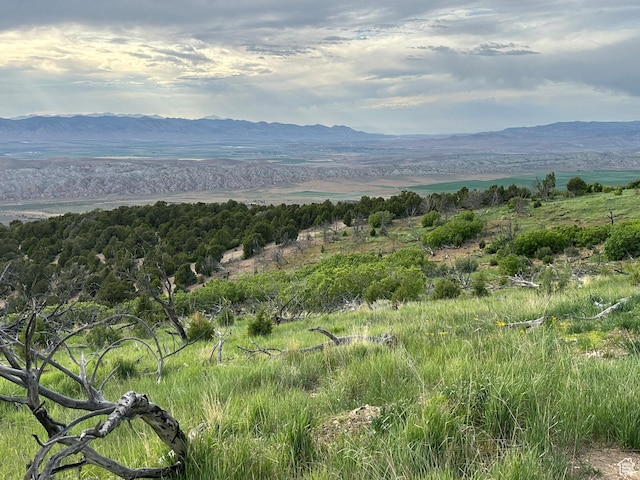 Salina, UT 84654