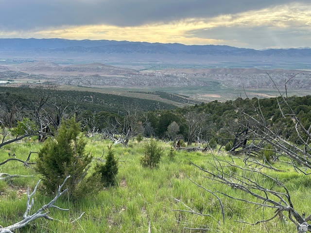 Salina, UT 84654