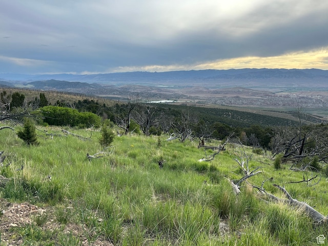 Salina, UT 84654