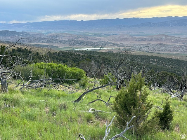Salina, UT 84654
