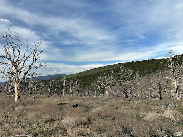 Salina, UT 84654