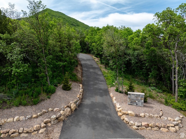 1156 N Valley View Dr, Eden, UT 84310 - view of street featuring a mountain view and a wooded view