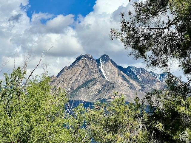 4969 S Eastridge Ln E Unit 174, Salt Lake City, UT 84117 - mountain view
