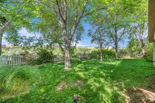 1165 W Indian Hills Dr Unit 236, St George, UT 84770 - view of yard