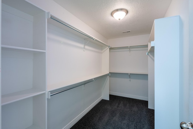 407 E Clay Ln, Lehi, UT 84043 - spacious closet featuring dark carpet