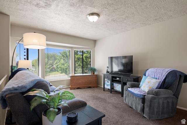 5063 W Milstead Ln, Kearns, UT 84118 - carpeted living room featuring a textured ceiling and baseboards