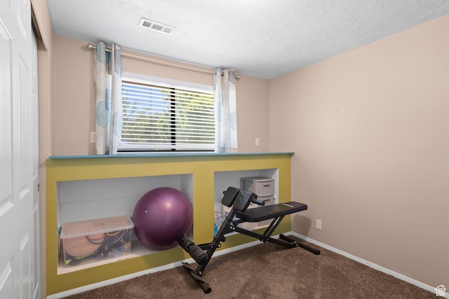 5063 W Milstead Ln, Kearns, UT 84118 - workout room with carpet, baseboards, and a textured ceiling