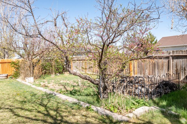 324 W 1650 N, Cedar City, UT 84721 - view of yard