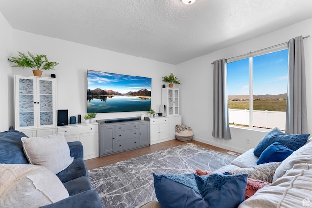 1815 E Thunder Gulch Rd, Eagle Mountain, UT 84005 - living area featuring light wood-style floors, a textured ceiling, and baseboards