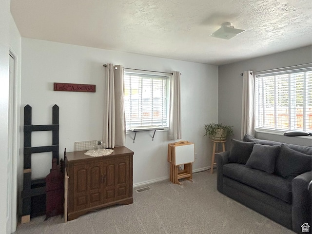 434 S 2nd E, Soda Springs, ID 83276 - living room featuring healthy amount of natural light, carpet, a textured ceiling, and baseboards