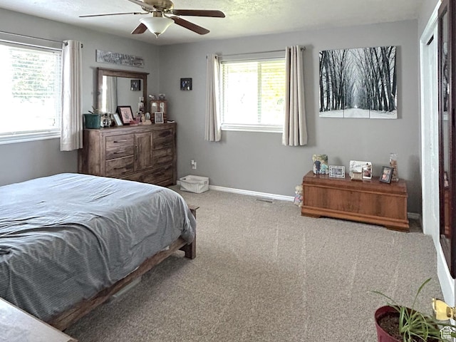 434 S 2nd E, Soda Springs, ID 83276 - bedroom with carpet floors, baseboards, and a ceiling fan