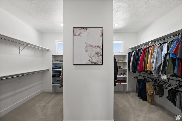 507 W Windmill Gate Cv, Draper, UT 84020 - walk in closet with carpet flooring