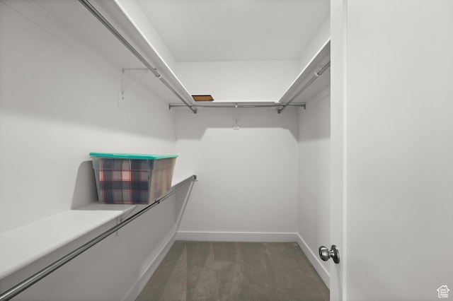 507 W Windmill Gate Cv, Draper, UT 84020 - spacious closet with carpet