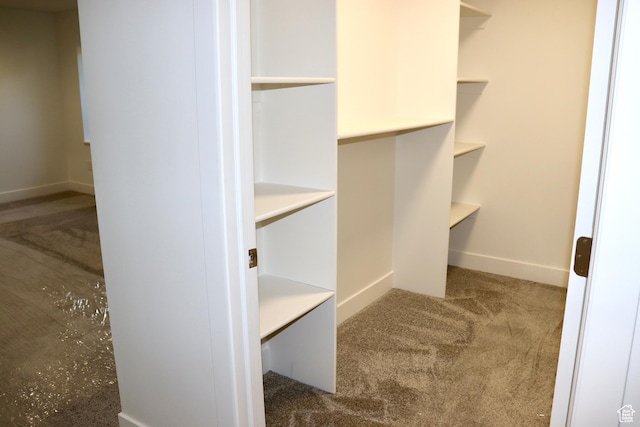 579 N 430 E Unit 2, Tooele, UT 84074 - walk in closet with carpet