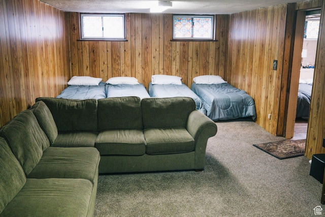201 Bannock St, Malad City, ID 83252 - living area with wood walls and carpet flooring
